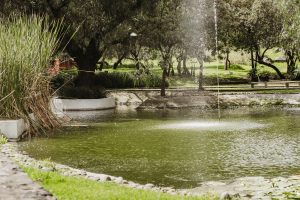 Bioparque San Antonio