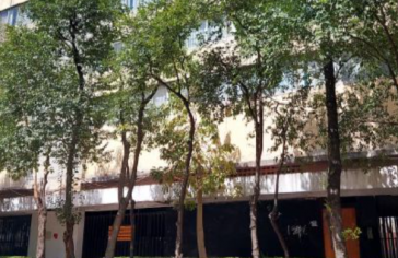 Centro Cultural Macario Matus