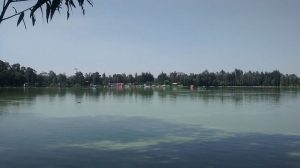 Bosque de Tláhuac Forest Park