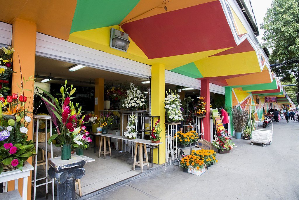 mercado Medellin Roma 