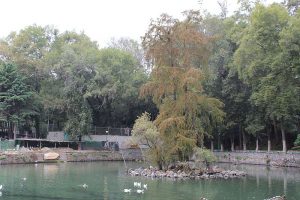 Fuentes Brotantes de Tlalpan National Park
