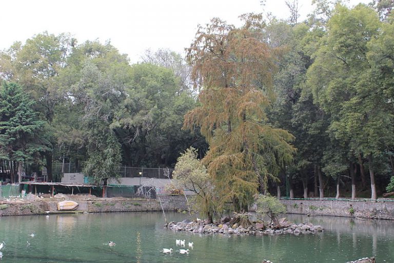 Fuentes Brotantes de Tlalpan National Park
