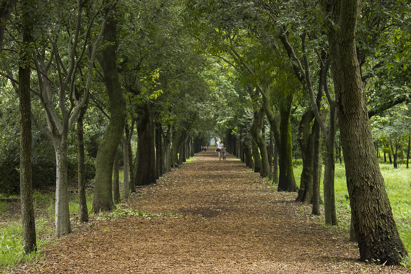 Viveros de Coyoacán
