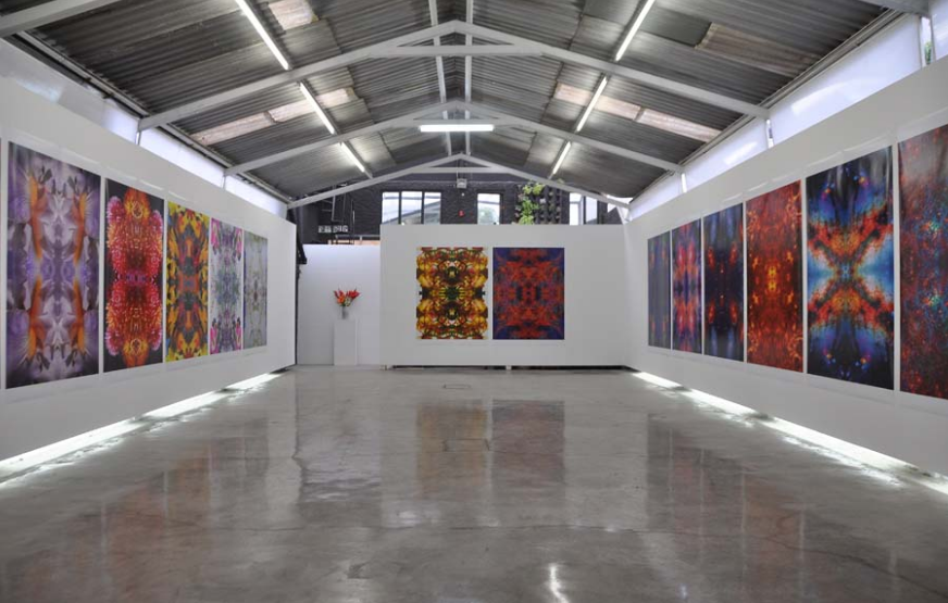 Anonymous Gallery