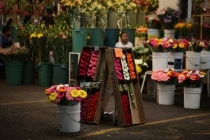 Jamaica Market