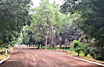 Zapote Eco Park