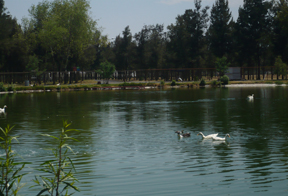 Alameda Oriente