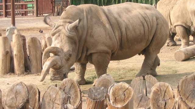 Zoológico de San Juan de Aragón
