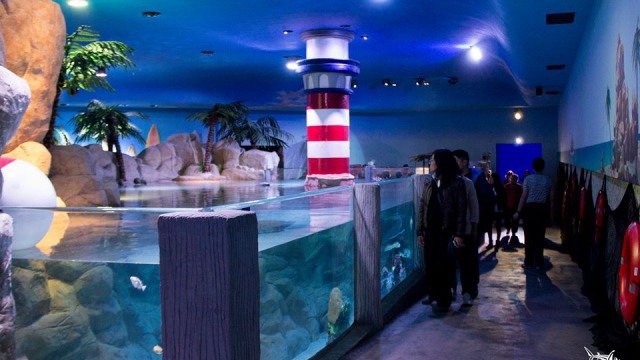 Inbursa Aquarium