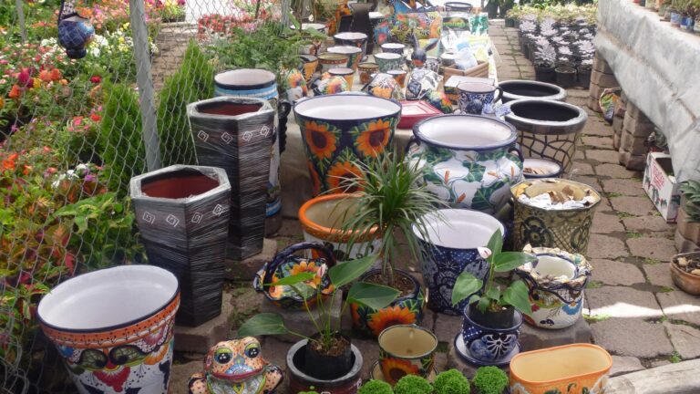 Mercado de Flores y Plantas Cuemanco