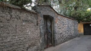 Avocado Alley