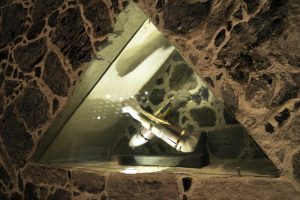 Mexico City Museum of Design