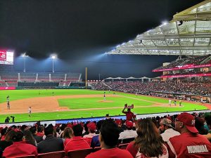 Alfredo Harp Helú Baseball Stadium