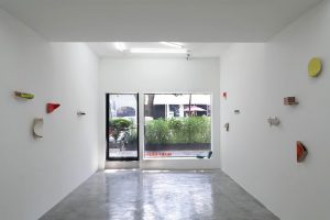 Galería Mascota