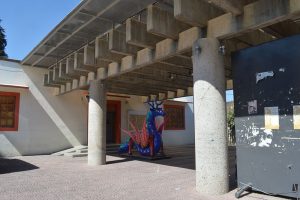 Museo Regional Altepepialcalli