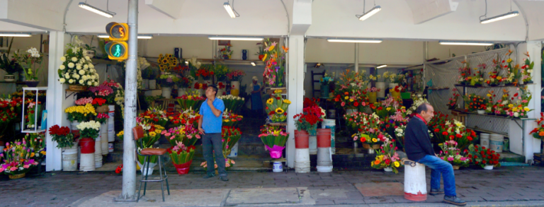 Mercado de flores de San Ángel