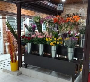 Mercado Tihuatlán, Aculco, La Magdalena