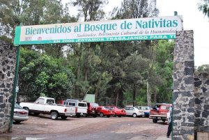 Bosque de Nativitas