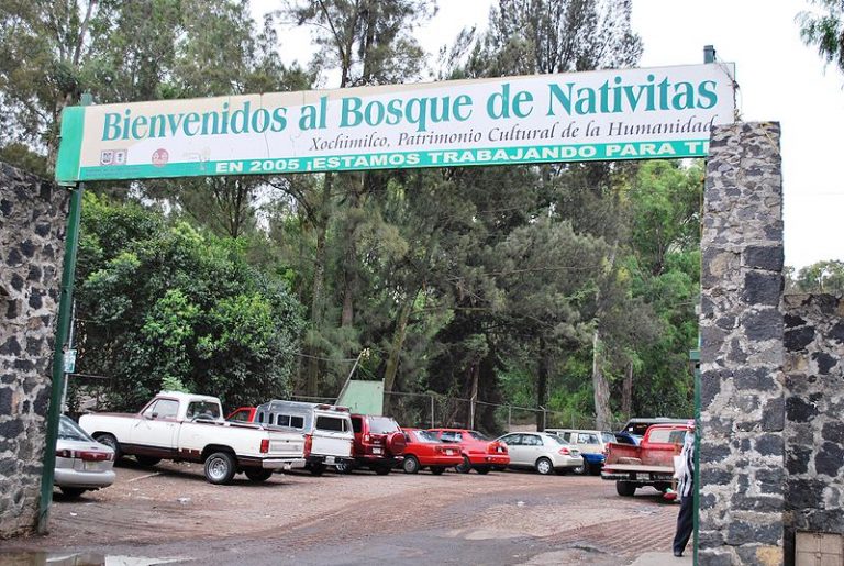 Bosque de Nativitas