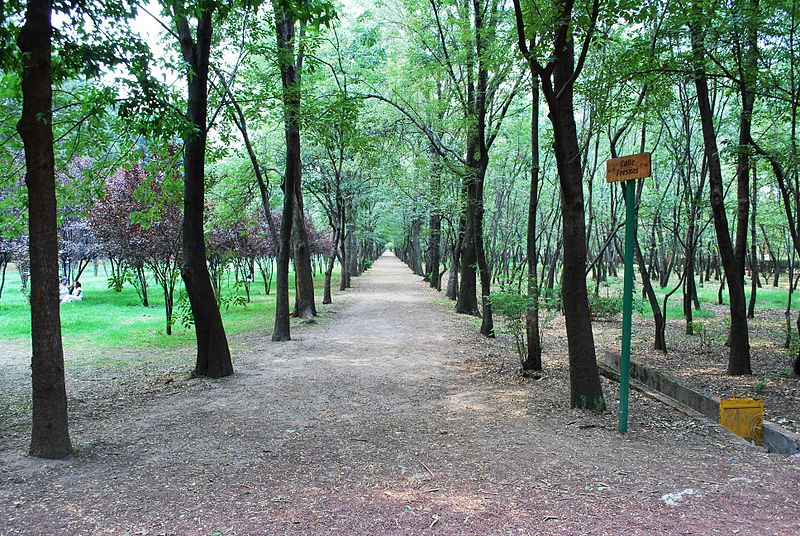 viveros de coyoacan