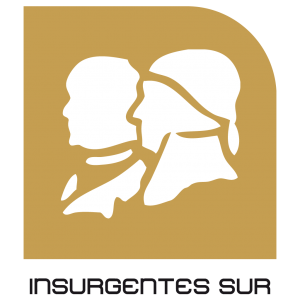metro insurgentes sur station logo