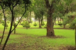 Loreto y Peña Pobre Ecological Park
