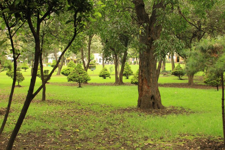 Loreto y Peña Pobre Ecological Park