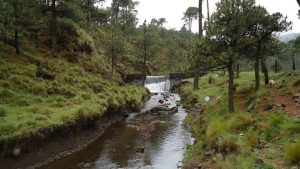 Cumbres del Ajusco National Park