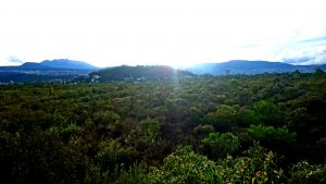Pedregal de San Ángel Ecological Reserve