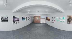 Cachorro Galería