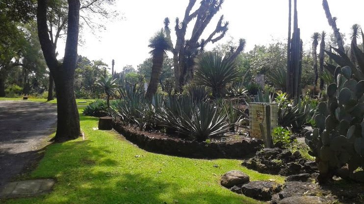 Jardín Botánico de la UNAM
