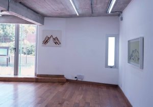 Plomo Gallery