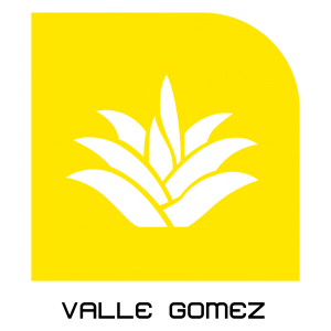station logo valle gomez