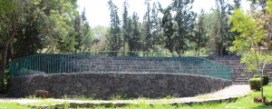 Bosque de San Luis Tlaxialtemalco