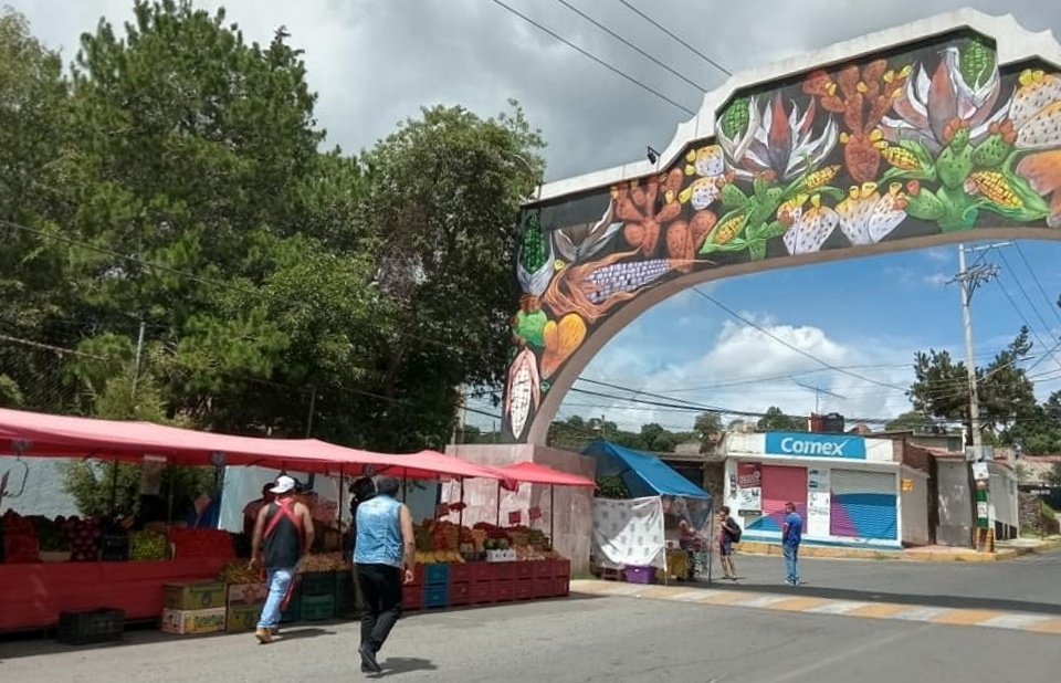 tianguis de San Bartolome Xicomulco