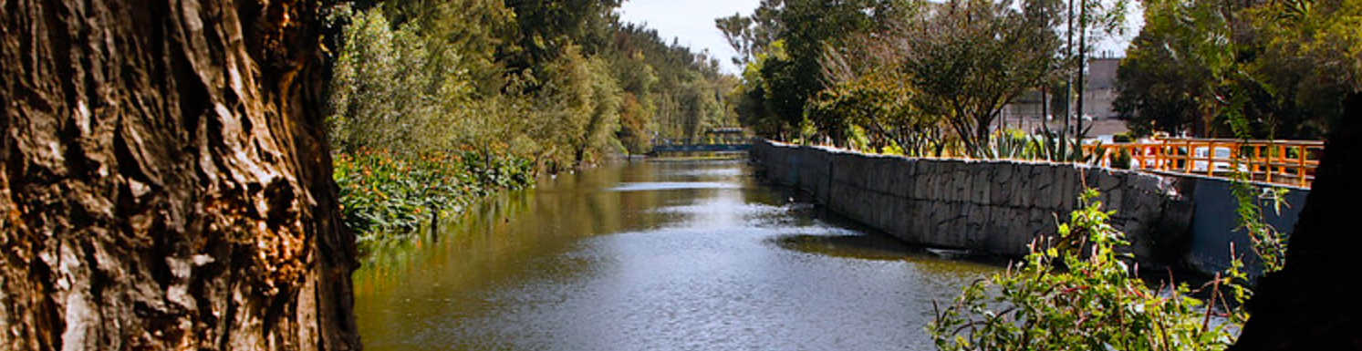 Canal Nacional Area