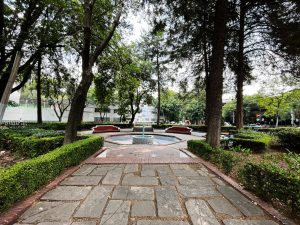 Campos Eliseos, Polanco