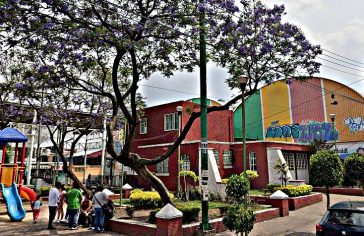 mercado de la colonia del mar.png