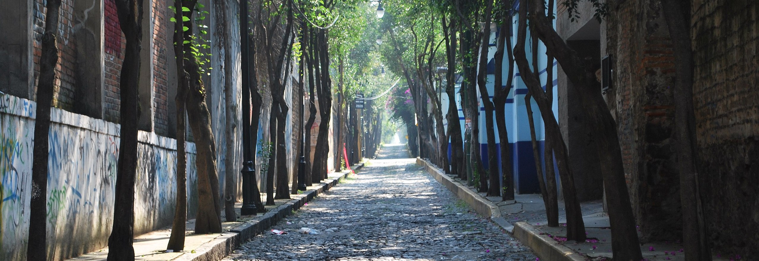 Tlalpan Centro