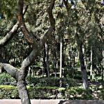 Parque Hundido.png