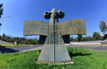 pajaro xiii