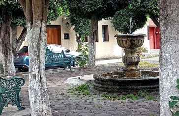 Barrio San Lucas Tlaxopa