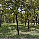 Parque Monumento Rosario Castellano
