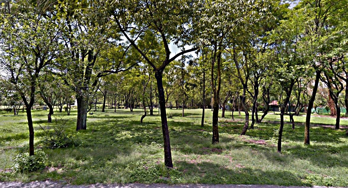 Parque Monumento Rosario Castellano