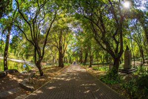 Causeway of the Poets