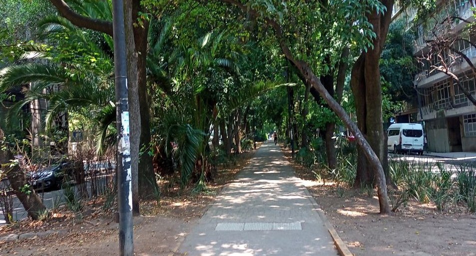 avenida amsterdam