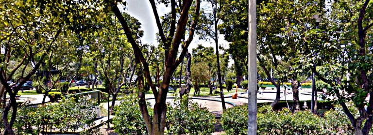 Parque Toriello