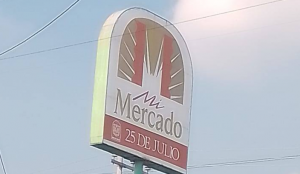 Mercado 25 de Julio / Tianguis de San Felipe de Jesús