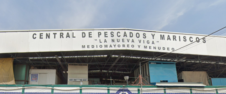 La Nueva Viga Market